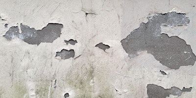 Umidità nelle costruzioni primary image