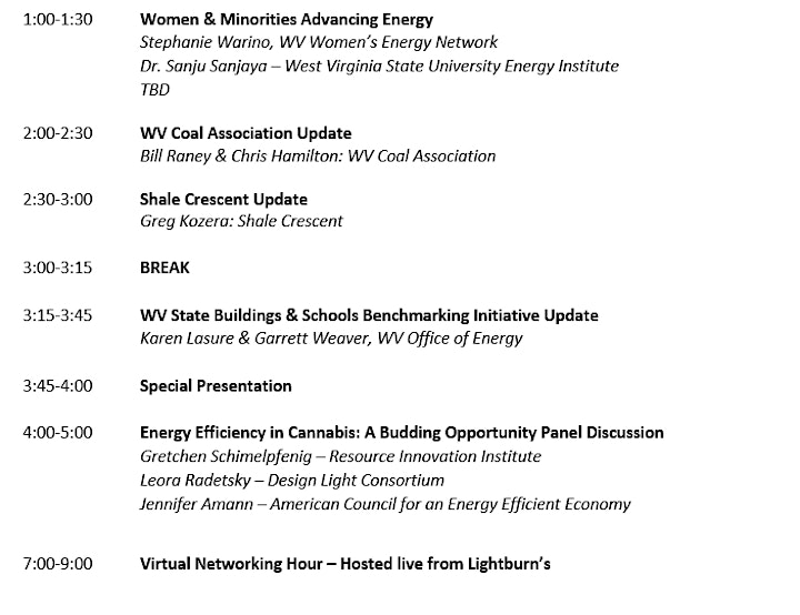 2020 Virtual  WV Governor's Energy Summit image