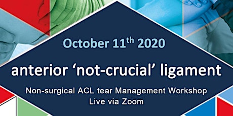 Live Zoom ACL tear Non-op Workshop! Sunday 11th of October 830AM - 3PM AEST primary image