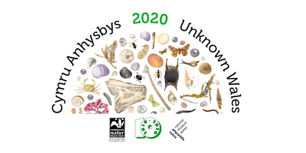 Cymru Anhysbys Ddigidol 2020 | Digital Unknown Wales 2020