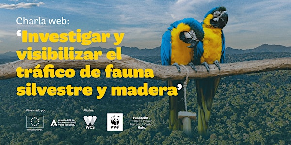 Charla web: Investigar y visibilizar el tráfico de fauna silvestre y madera