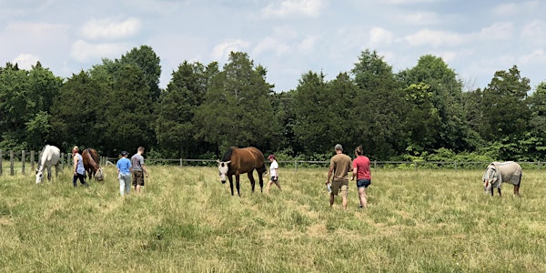 Horses and Self-Care for Caretakers and Spouses of Veterans