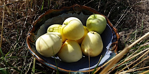 Image principale de Family Friendly Cider Pressing