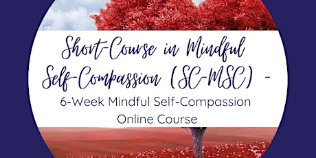 Short-Course in Mindful Self-Compassion (SC-MSC) primary image