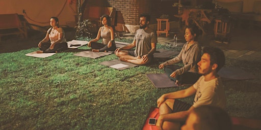 Image principale de Soul Forest Yoga Retreat