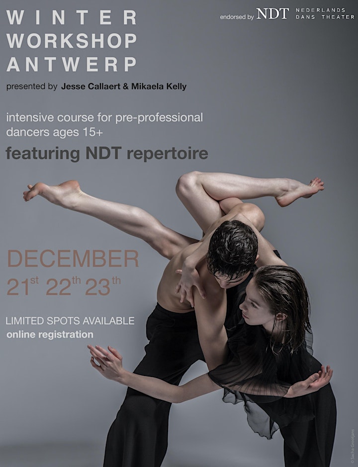 Winter Workshop Antwerp image