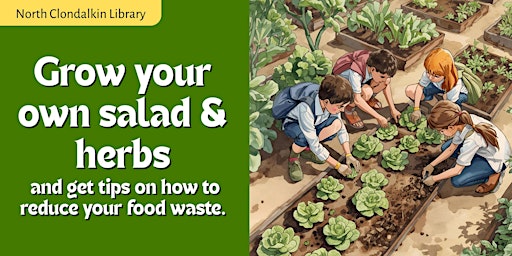 Image principale de Grow Your Own Salad and Herbs