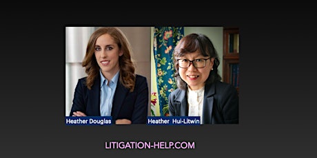 What is Litigation Really Like? primary image