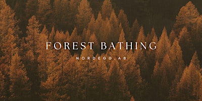 Image principale de Forest Bathing-Nordegg