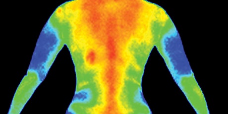 Discover Medical Thermography- primary image