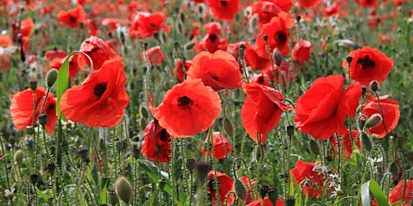 Remembrance Sunday Service at St  Michael and All Angels Church Felton 1030