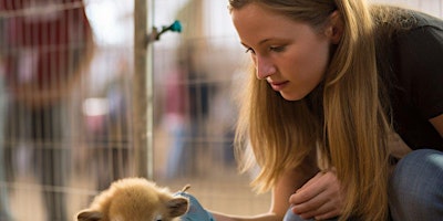 Paws & Pars Invitational for Delilah’s 2nd Chance Rescue primary image