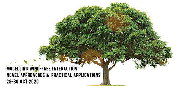 Modelling Wind-Tree Interaction: Novel Approaches & Practical Applications