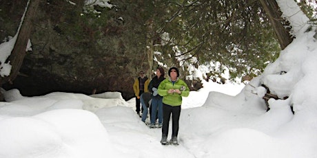 Guided Snowshoe or Winter Hike at Dyer’s Creek