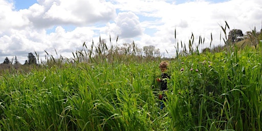 Imagem principal de Family Farm Walk at Farm Discovery