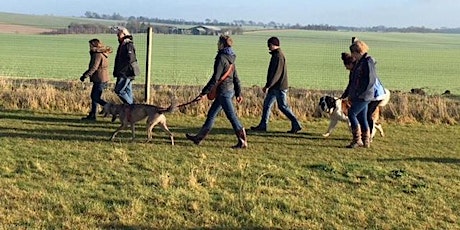 Dog Park Group Walk