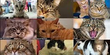 Surrey Community Cat Foundation ANNUAL GENERAL MEETING primary image