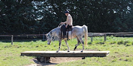 Horse Adventure Park session - Tuesday evening primary image