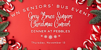 Image principale de Seniors Songs and Supper Christmas Tour November 13