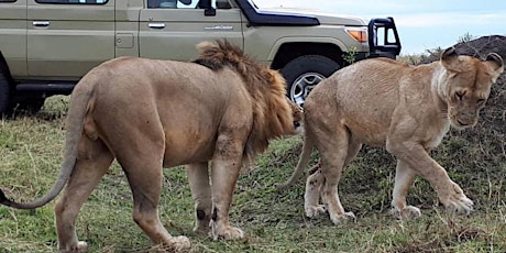 Short safari booking discount travel incentive to Ngorongoro and Tarangire primary image