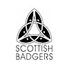 Logotipo da organização Scottish Badgers