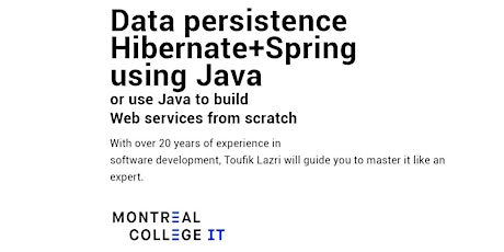 Master Data Persistence using Hibernate + Spring, using Java primary image