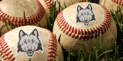 2026 Madison College Spring Training Baseball Camp primary image