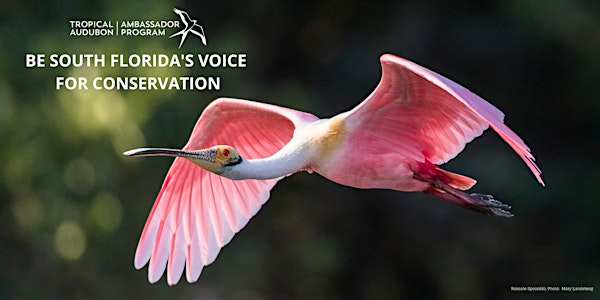 Tropical Audubon Ambassador Program Fall 2020 - Spring 2021