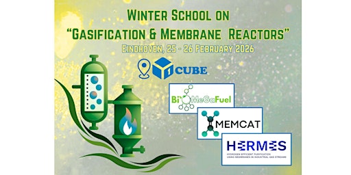 Image principale de 3rd ed. Winter School on "Gasification and Membrane Reactors