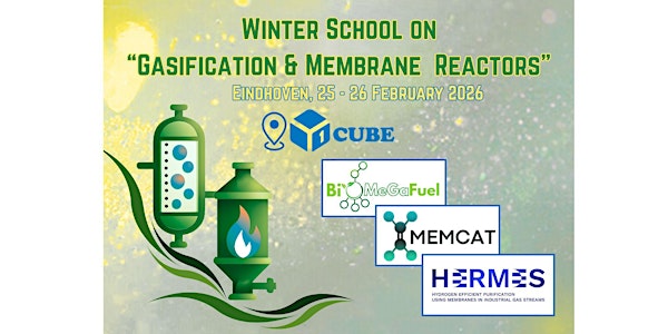 3rd ed. Winter School on "Gasification and Membrane Reactors