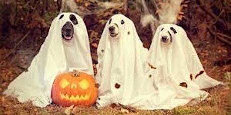 Primaire afbeelding van FDR Dog Halloween Photo Shoot