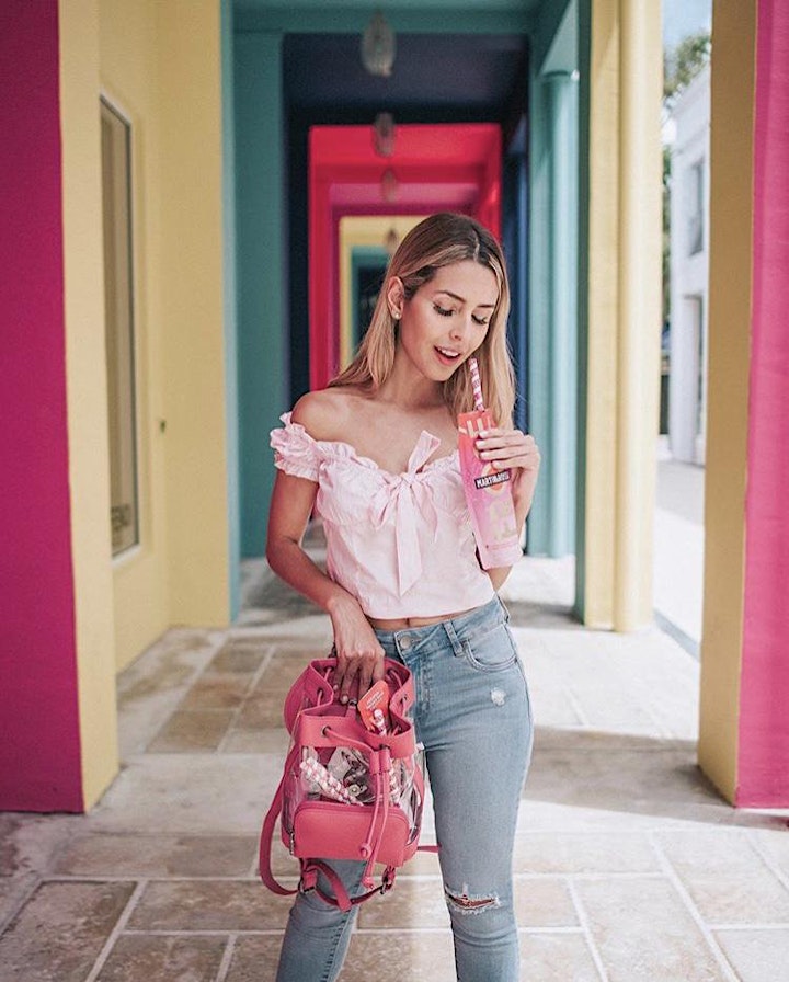 Miami Personal Stylist Diploma Training (4 days) image