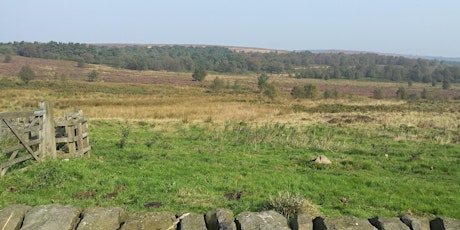 Volunteer Work Day: Blacka Moor