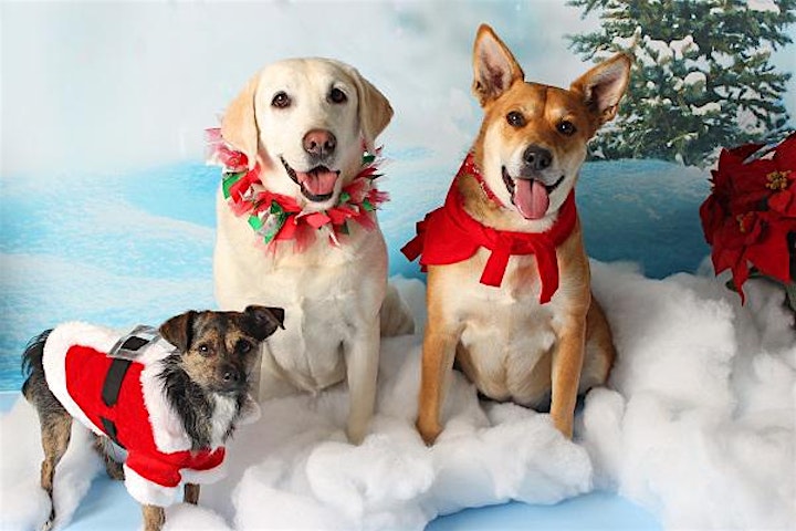 Friends for Life Animal Rescue 2022 Holiday Photo Fundraiser! image