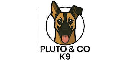 Image principale de Stronger Bond, Better Dog: Obedience & Engagement Training