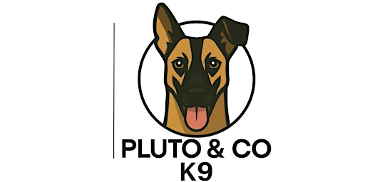 Image principale de Stronger Bond, Better Dog: Obedience & Engagement Training