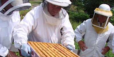 Beginning Beekeeping Rochester NY 2026  primär bild