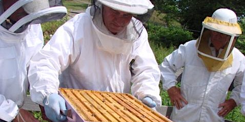 Beginning Beekeeping Rochester NY 2026 primary image