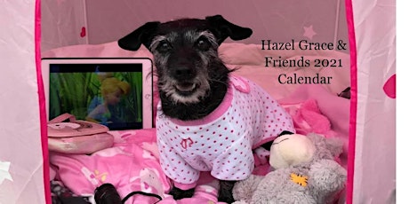 Hazel Grace and Friends 2021 Calendar primary image