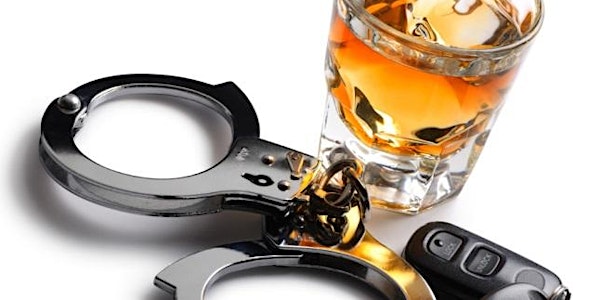 DRIVING UNDER THE INFLUENCE / SFST COURSE (24 HOURS)