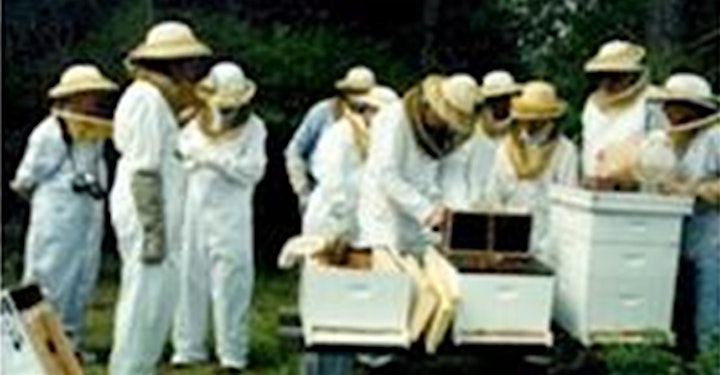 
		2021 Virtual Practical Beekeeping Course image

