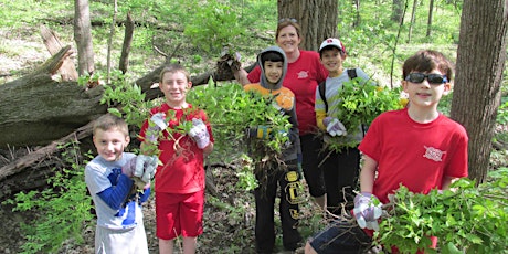 Honeysuckle Hack at Creve Coeur Park primary image