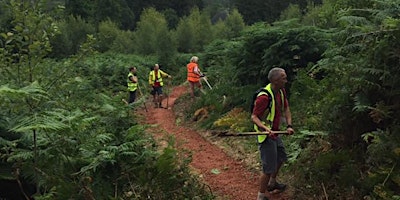 Regular Dean Trail Volunteers Dig (DTV) primary image