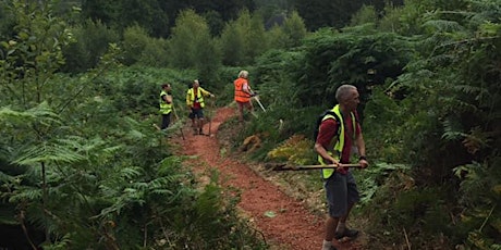 Regular Dean Trail Volunteers Dig (DTV)