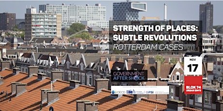 Primaire afbeelding van STRENGTH OF PLACES: SUBTLE REVOLUTION