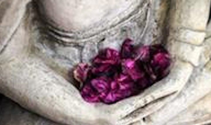 5 Elemente QI GONG- chin. medizinische Heilgymnastik- Basis-u. Aufbaukurs I: Bild