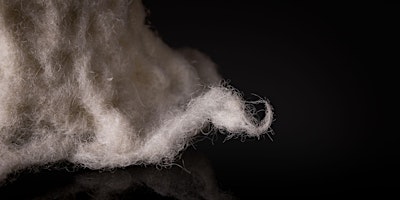 Gweithdy Ffeltio Gwlân i Oedolion / Adult Wool Felting Workshop primary image