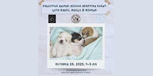 Image principale de Adoption event 4-5 pm