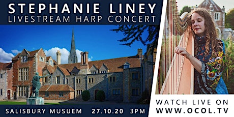 Live Harp Concert @ Salisbury Museum // Stephanie Liney primary image