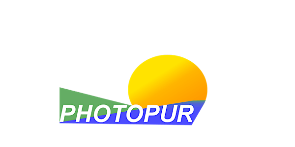 PHOTOPUR Online-Symposium